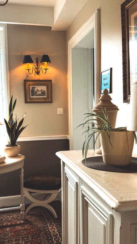 Mur intérieur peint avec soubassement et moulures décoratives